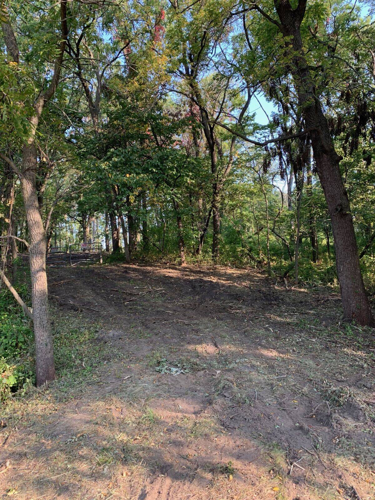 Cleared walking trails through the woods